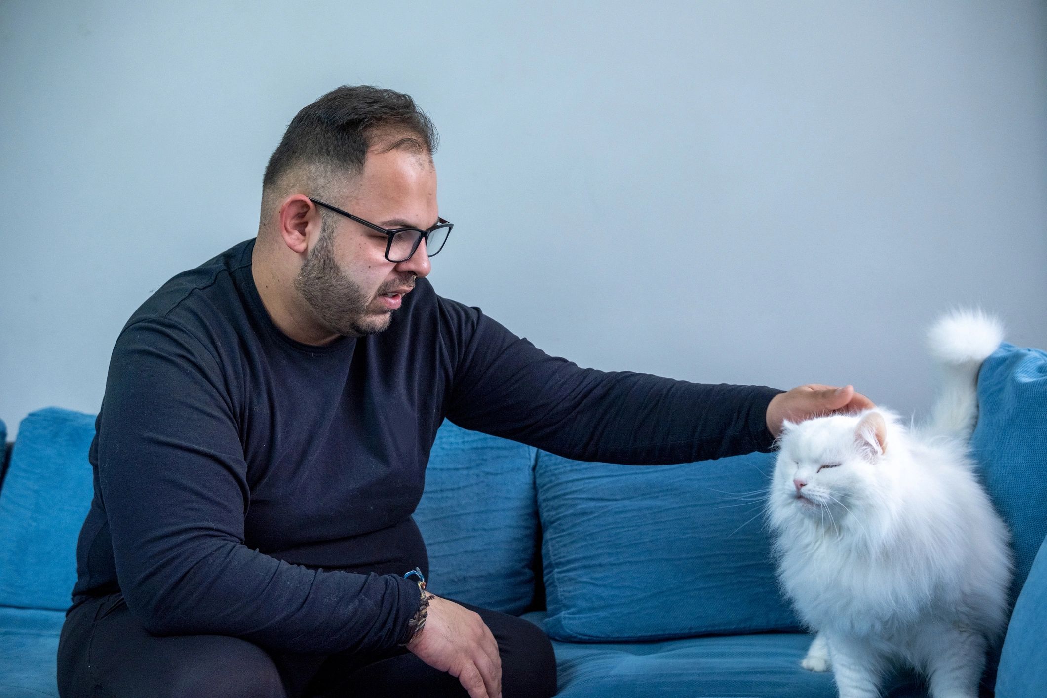 Person playing with a white cat on a sofa