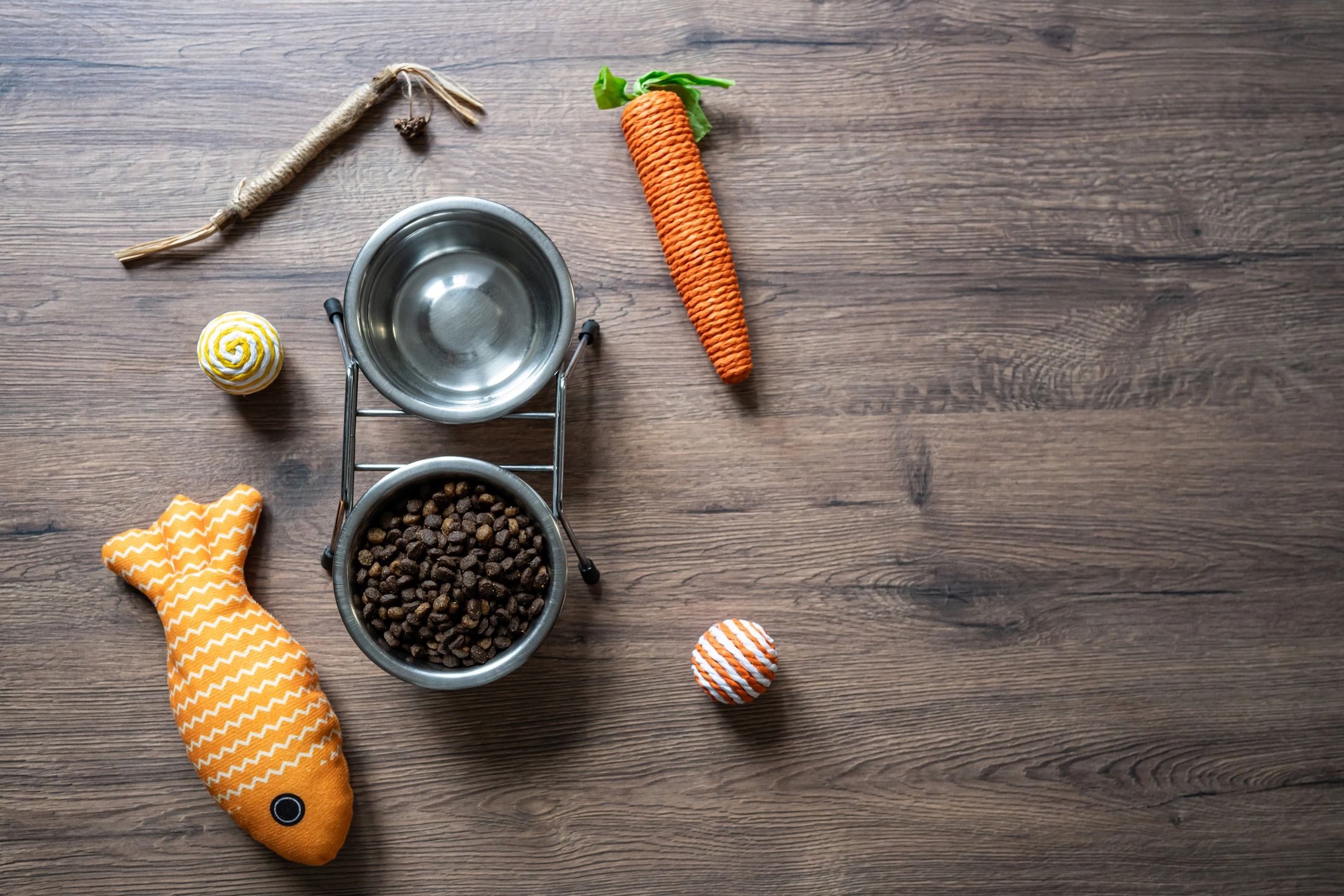 Flat lay of cat food and toys